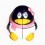 Penguin Girl 2x2x2 Magic Cube