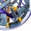 PERPLEXUS REBEL ROOKIE