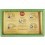 SET MADERA Y METAL 5 EN 1 – LOS 5 GRANDES CEREBROS-