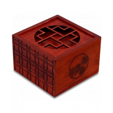 ROBOT CUBE